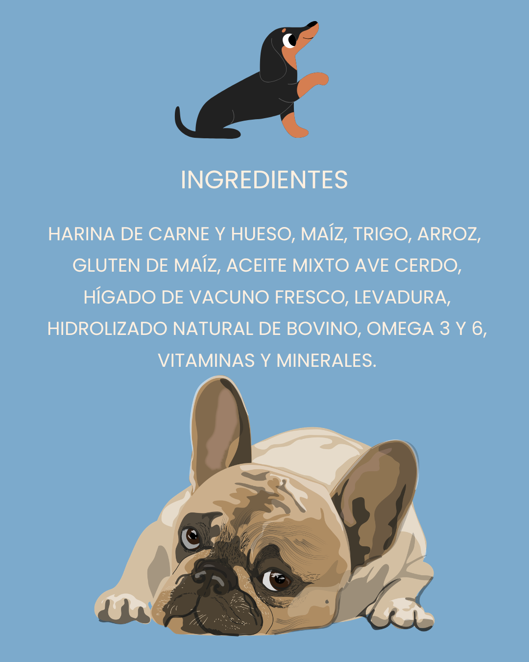 LEOPET — Alimento Premium para Perros Adultos | Razas Pequeñas | 9 kg + 1 kg de Regalo