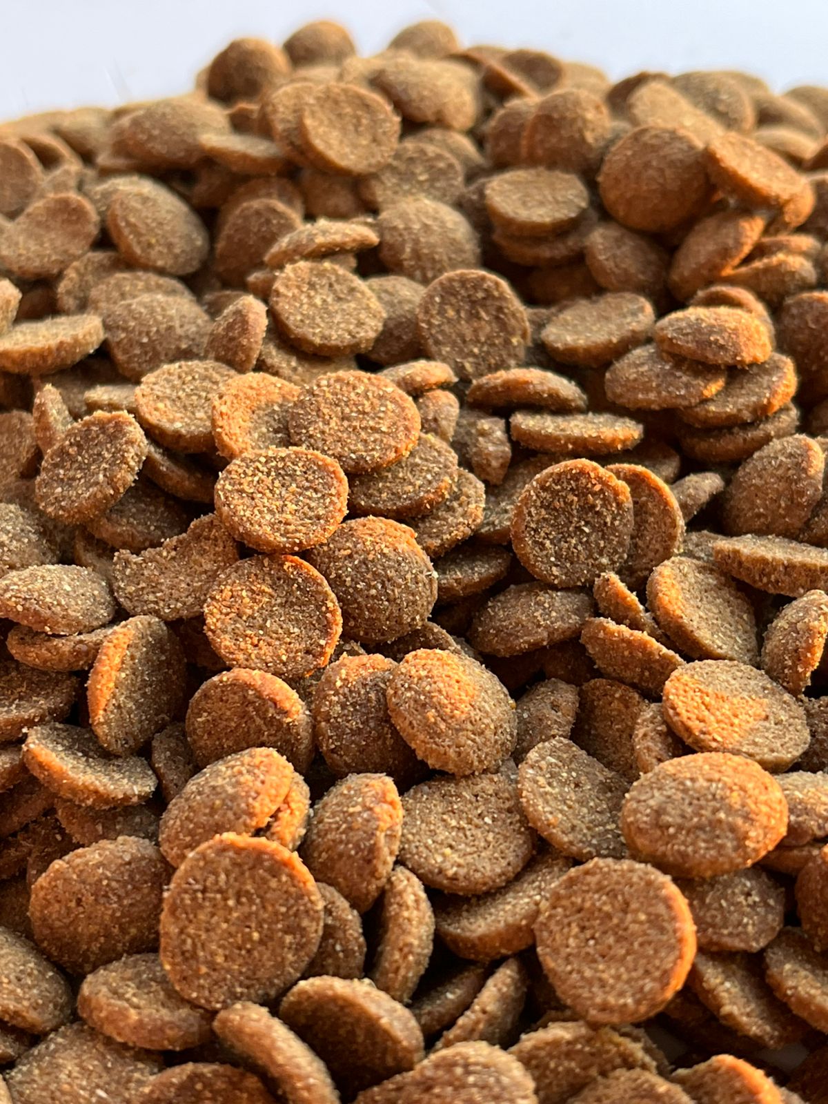 LEOPET — Alimento Premium para Perros | Todas las Razas | 9 kg + 1 kg de Regalo