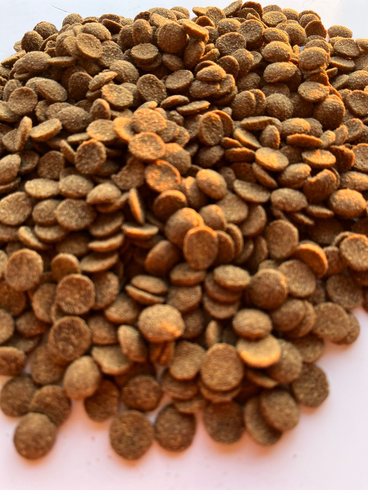 LEOPET — Alimento Premium para Perros | Todas las Razas | 9 kg + 1 kg de Regalo