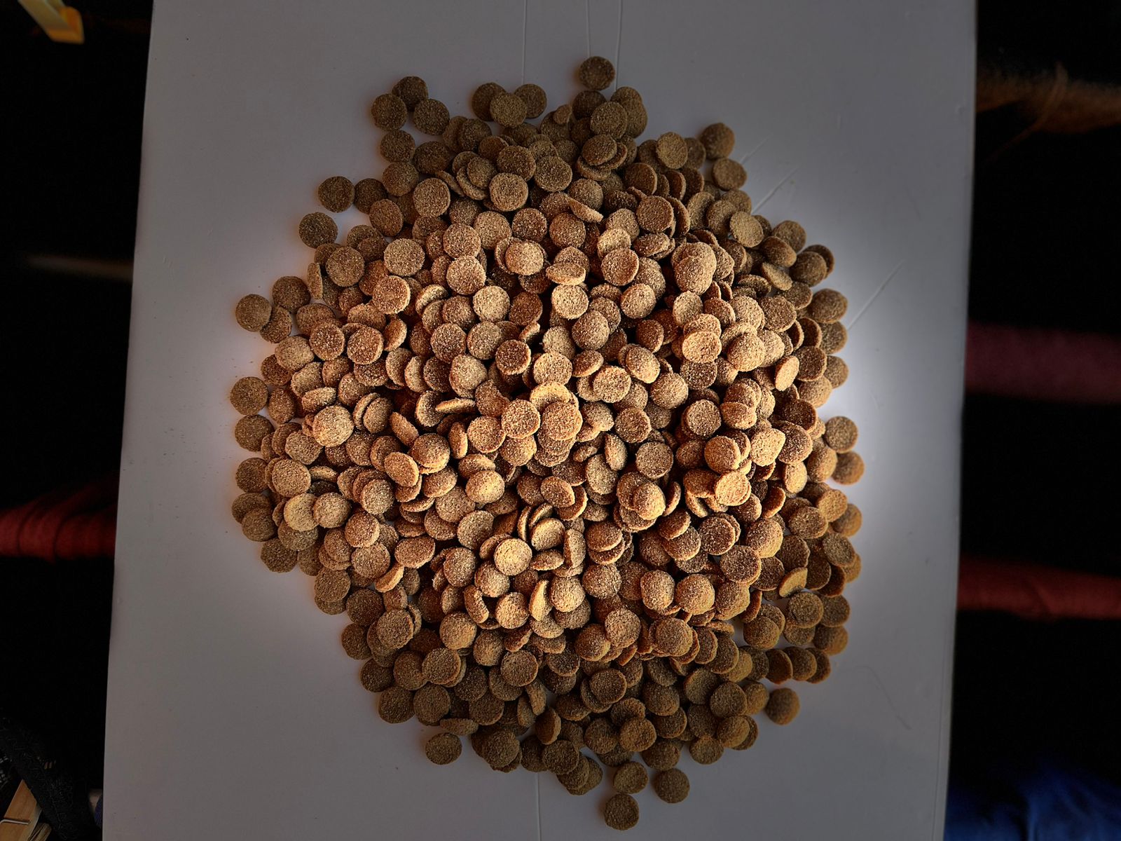LEOPET — Alimento Premium para Perros Adultos | Razas Pequeñas | 9 kg + 1 kg de Regalo